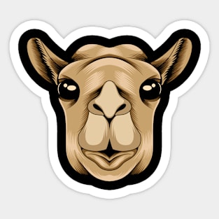 Camel head Sticker
